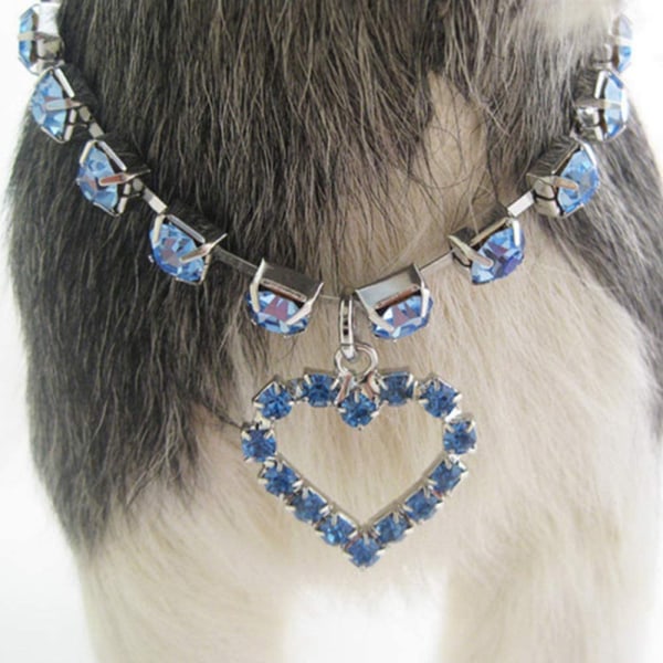 Enkelradig strass katt och hund smycke husdjur krage annons Blue M