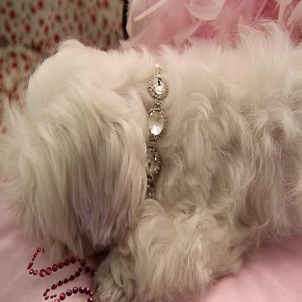 Pet Diamond Halsband Smycken Pet Dress Up Collar Shiny Jewel White S