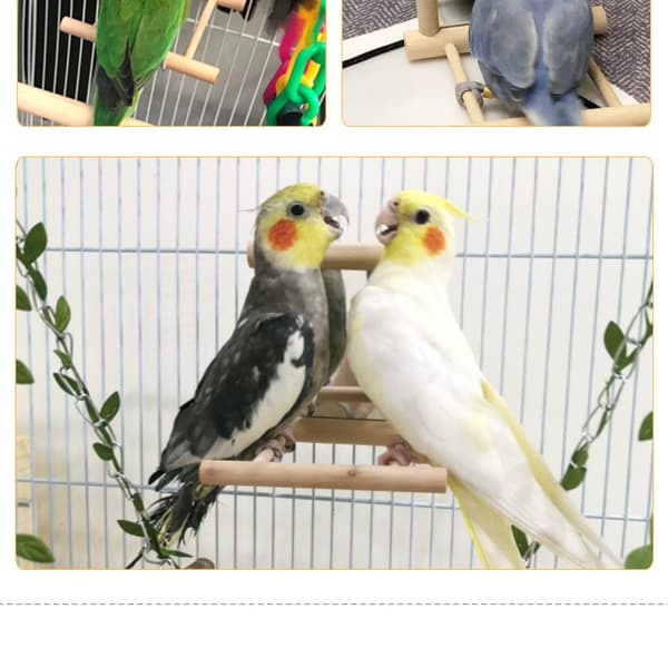 Fuglelegetøj Papegøje Parakit Conure Cockatiel Bur Gynge Træ