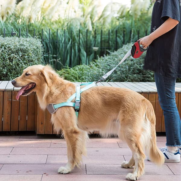 Rullehundesnor, 5 m kraftig hundesnor til M