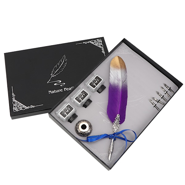 Vintage Classical Fountain Pen Sign Pen Calligraphy Feather Quill Dip Pen Set (Purple)