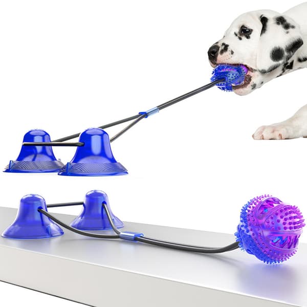 Sugkopp Hund Leksaker Valp Rep Tugga