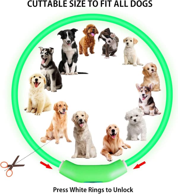 2-pack LED hundhalsband, lysande hundhalsband, uppladdningsbart B