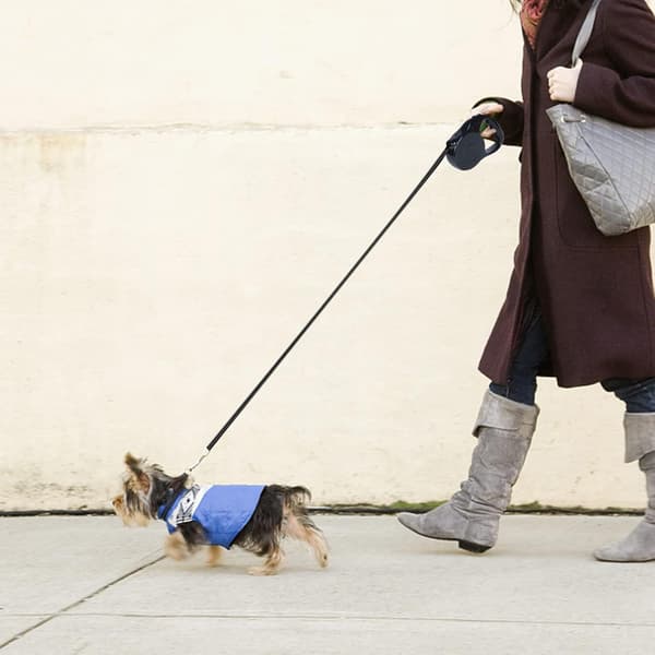 Dunhuang Rulleline til Små/Mellemstore Hunde, Kæledyr Black