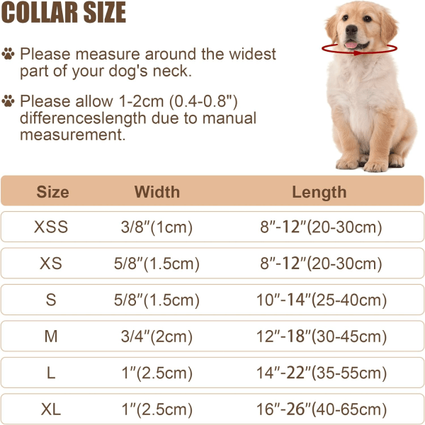 Heijastava koiranpanta soljella, säädettävä turvallinen nylonpanta pienille, keskisuurille ja suurille koirille, harmaa XS Grey XS