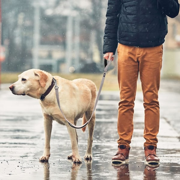 4 jalkaa pitkä, erittäin kestävä koiran talutushihna, jossa on 2 mukavaa pehmustettua kahvaa, liikennekahva ja edistyksellinen helppokäyttöinen lukituskoukku, heijastava talutushihna suurille, keskikokoisille ja pienille koirille Grey 4 Feet