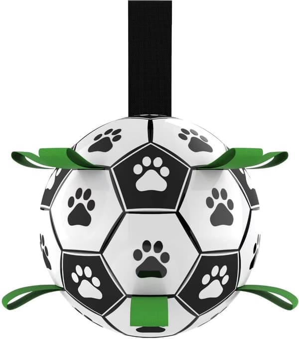 Hundleksak fotboll bitresistent golden retriever