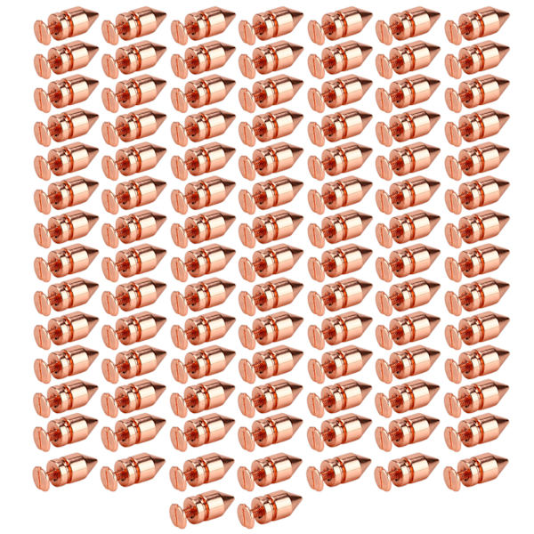100 set klädspikar roséguld metallplätering exakt gänga allmänt använda spikar och nitar för skor bälten kläder 8x15mm