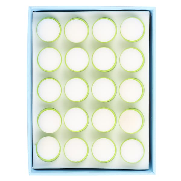 20 st finger svamp daubers gröna barn DIY målning bläckplatta stämpling verktyg boxade