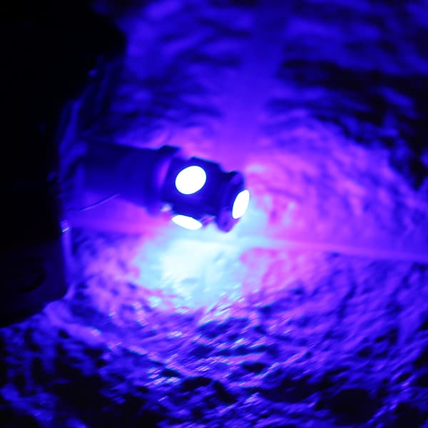 20 stk 12V T10 5050 5 SMD LED Bilkilelys Super Lys Blå