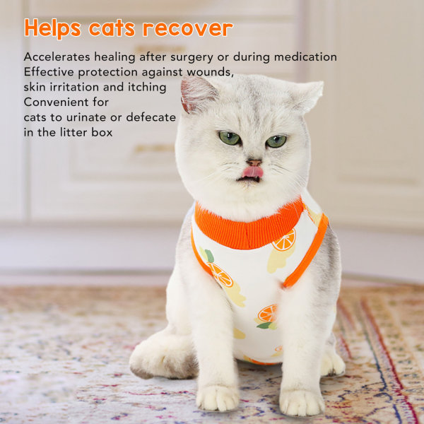 Katt återhämtningsdräkt andningsbar förhindrar slick efter operation slitage bomull återhämtningskroppsomslag kattunge återhämtningskläder XL