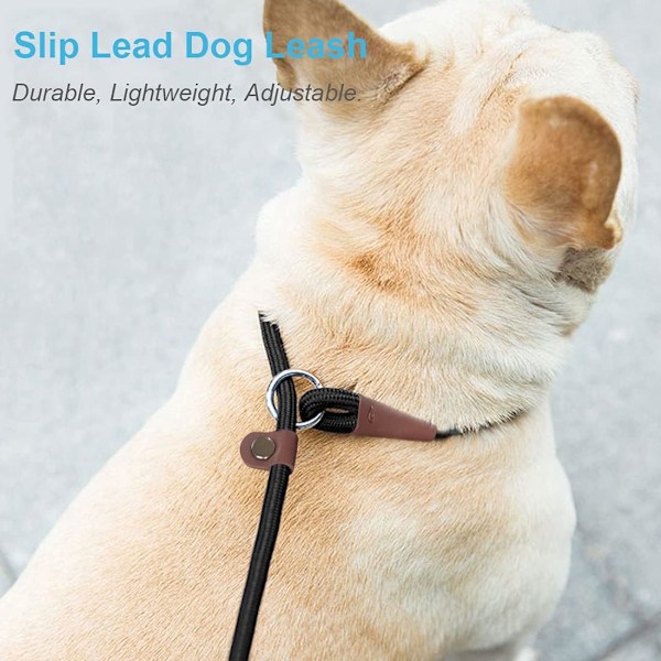 Slip Lead Kontrol Line til Hunde Ingen Træk, 13+ Farver Klassisk Hundeline 6FT Kæledyrsline, 1/4\\u201d Rebline til Små Mellemstore Dyr black 6ft*1/4"
