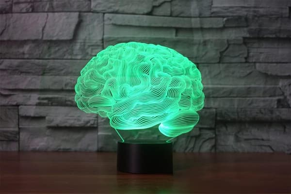 Hjerne 3D Illusion Natlampe Akryl Lys 3D Kunst Hjerne Mo