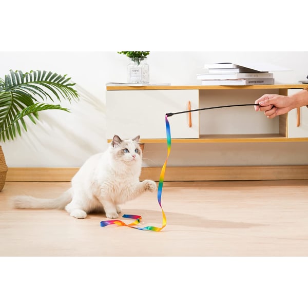 Cat Toys Interactive for Indoor Cat Wand Teaser with Rainbow