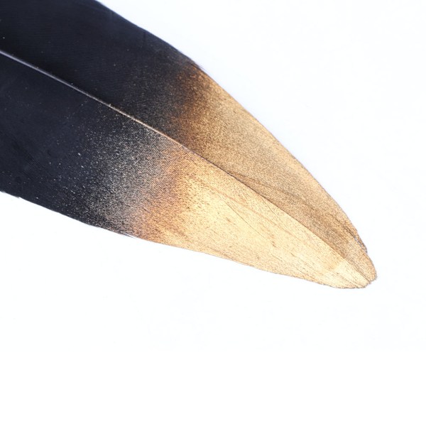Vintage Klassinen Sulkakynä Sulkakynä Dip Pen Mustepullosetti Lahjapakkauksella (Musta)