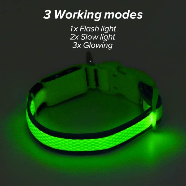 LED-hundhalsband, USB uppladdningsbara belysningslampor för hundhalsband, Green S