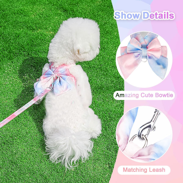 Söt fluga hundsele och koppel set elegant regnbåge gradient valp sele ingen drag mjuk mesh husdjur katt hund väst selar för små hundar katter, blå Blue XS