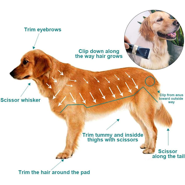 Hundtrimmer för Pälsvård, 16 delars Hundtrimningskit för Små & Stora Hundar, Professionell Sladdlös Hundhårstrimmer med Lågt Ljud, Re