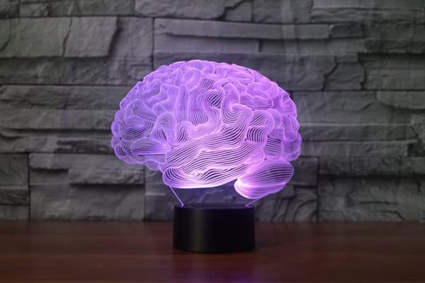 Hjerne 3D Illusion Natlampe Akryl Lys 3D Kunst Hjerne Mo