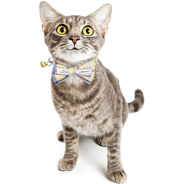 Katthalsband med klocka, Safe Kitten Collar Kitty Halsband för Yellow
