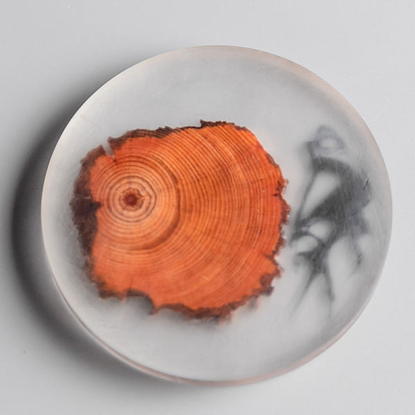 1 stj Resin Tallrikar Värmebeständig Placemat Dryck M