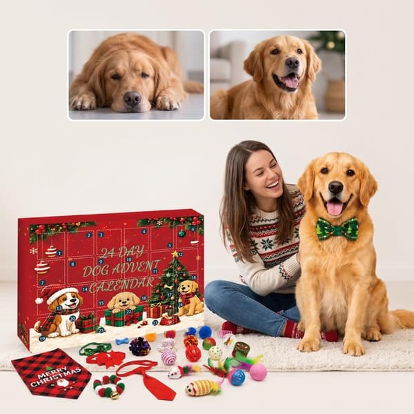 Jule-adventskalender til hund 2026 med pivedyr og interaktivt legetøj