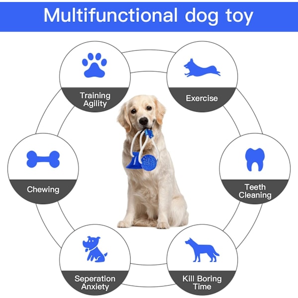 Sugkopp Hund Leksak, Husdjur Molar Bite Multifunktion Interaktiv
