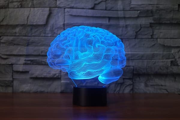 Hjerne 3D Illusion Natlampe Akryl Lys 3D Kunst Hjerne Mo