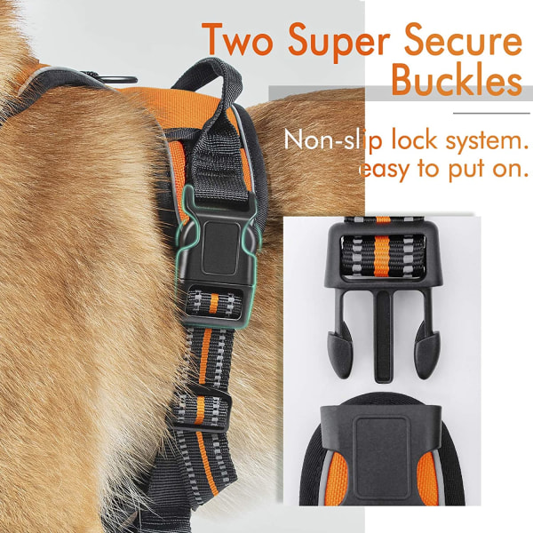 Hundsele, icke-dragbar husdjursbärare med 2 bältesklämmor, Adjusta Orange