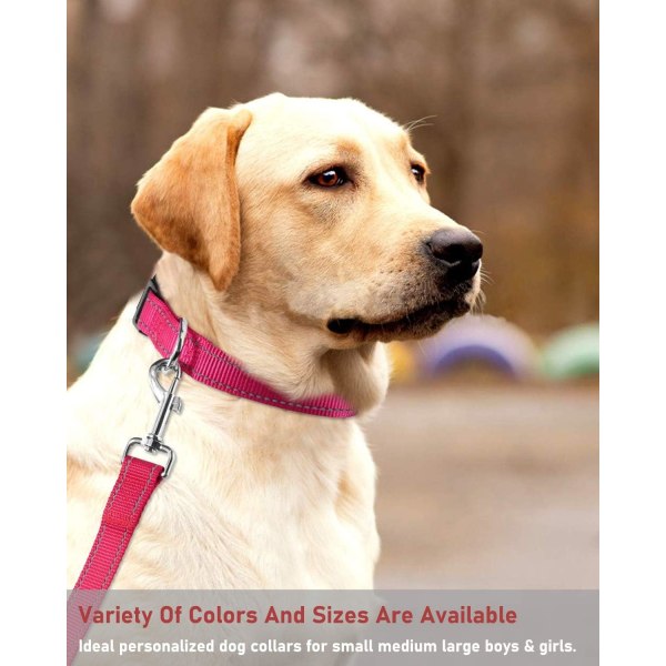 Heijastava koiranpanta soljella, säädettävä turvallinen nylonpanta pienille, keskisuurille ja suurille koirille, vaaleanpunainen S Hotpink S