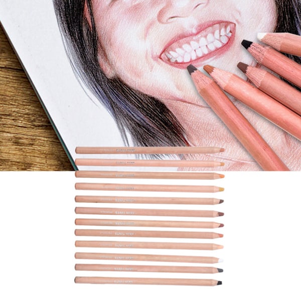 12 stk. Pastelfarver i træ, professionelt skitserings- og maleredskab, kunstmaterialer, billedfarve