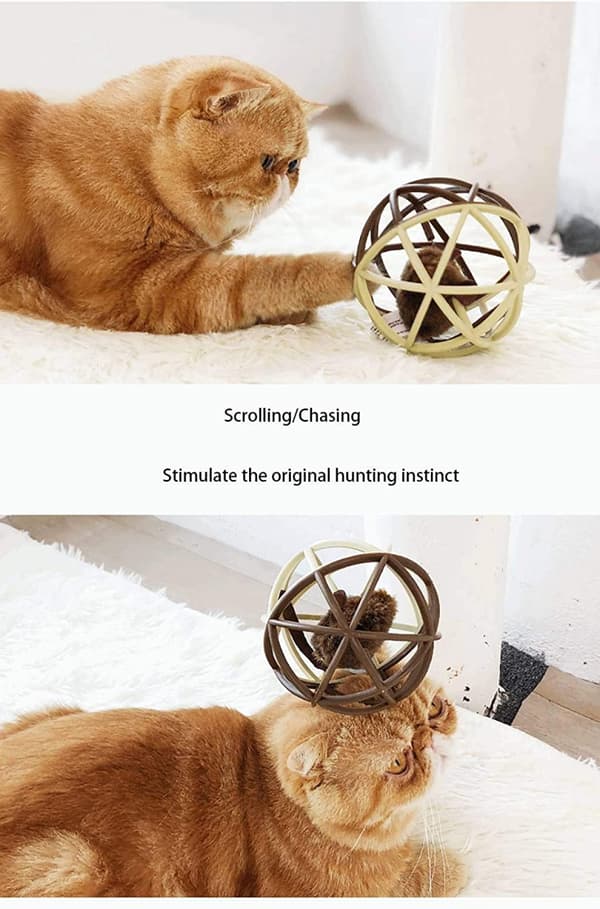 Katte Legetøjsbold, Katte Musebold Bur Katte Muse Legetøj Katte Interacti