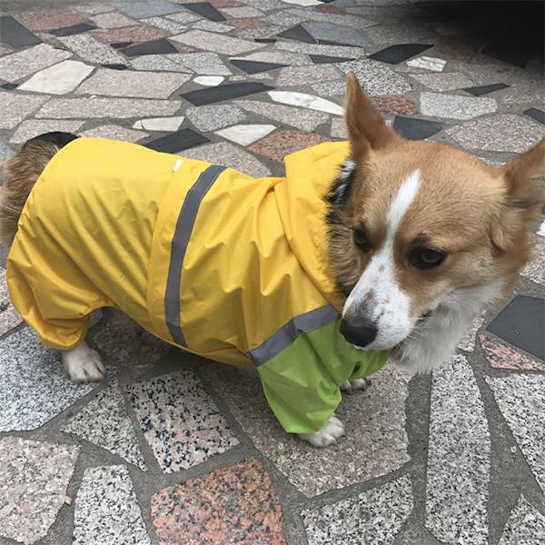 Beskyttende regnfrakker til hunde