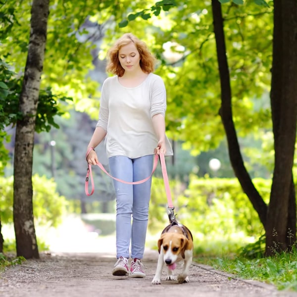 6 jalkaa pitkä, erittäin kestävä koiranhihna, jossa on 2 mukavaa pehmustettua kahvaa, liikennekahva ja edistyksellinen helppokäyttöinen lukituskoukku, heijastava talutushihna suurille, keskisuurille ja pienille koirille Pink 6 Feet