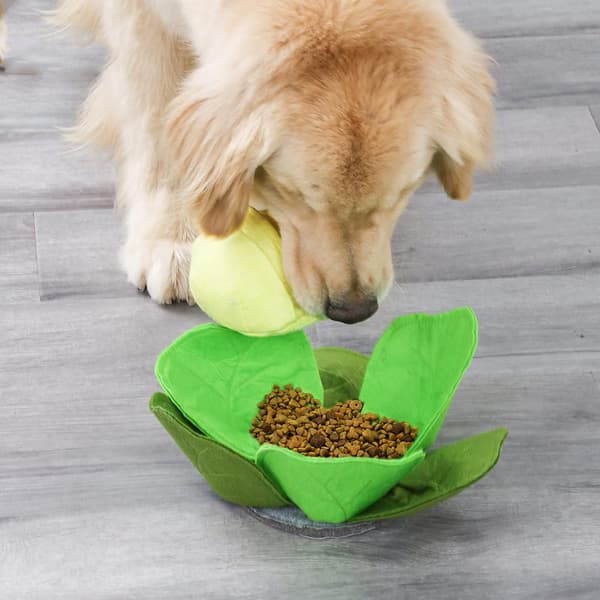 Snusematte for hund, kål-snuselekebolle for sakte fôring