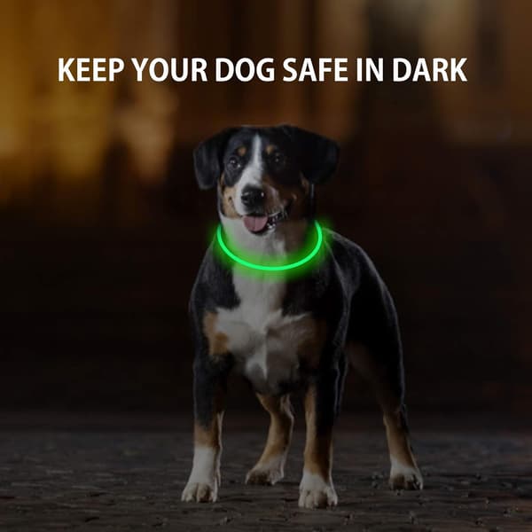 2-pack LED hundhalsband, lysande hundhalsband, uppladdningsbart B