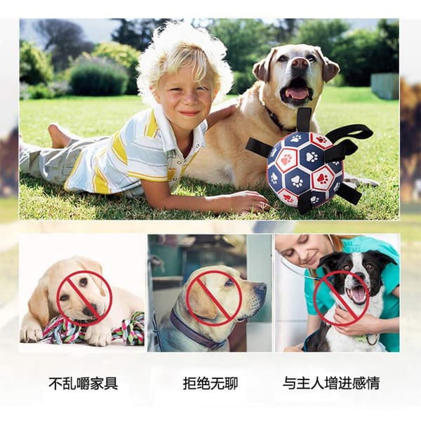 Fotboll för hundar med greppflikar, interaktiv hundboll