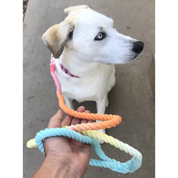 Tie-dye handgjord hundkoppel med vridbart snäppspänne, vacker