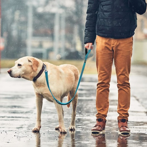 5 FT Heavy Duty Hundekobbel med 2 komfortable polstrede håndtak, trafikkhåndtak og avansert enkel snørekrok, reflekterende gåbånd for store, mellomstore og små hunder Blue 5 Feet