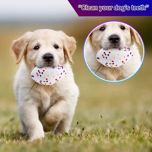 Dotpet Hundeleke Ball, Interaktiv Elastisk Hundeball, Slitesterk D
