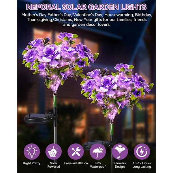 Solcellelamper til udendørs brug - 2-pak solcellelamper til haven med lilla nellike-solblomster, solcellelamper til udendørs brug, vandtætte IP65, solcellelamper til udendørs dekoration Purple2