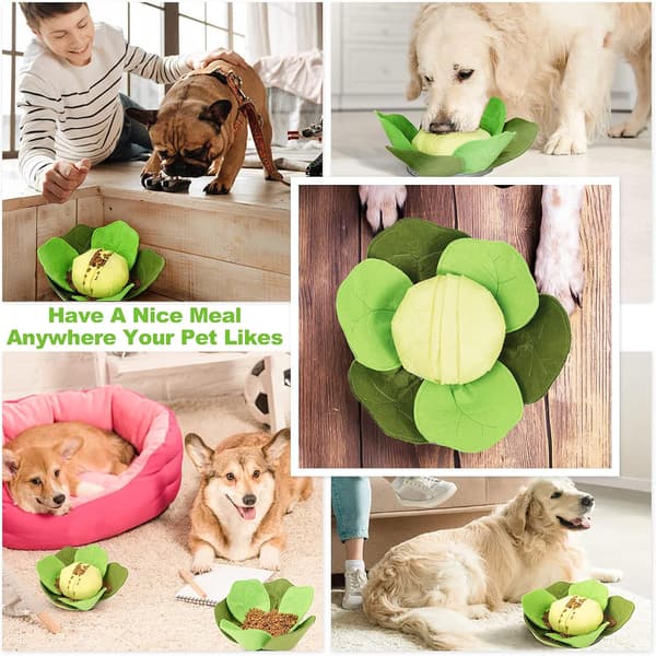 Snusematte for hund, kål-snuselekebolle for sakte fôring