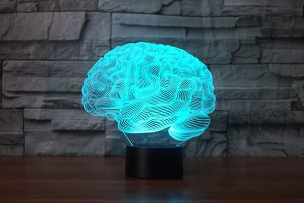 Aivot 3D Illuusio Yövalo Akryylivalo 3D Taide Aivot Mo