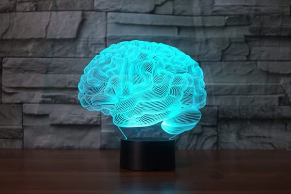 Hjerne 3D Illusion Natlampe Akryl Lys 3D Kunst Hjerne Mo