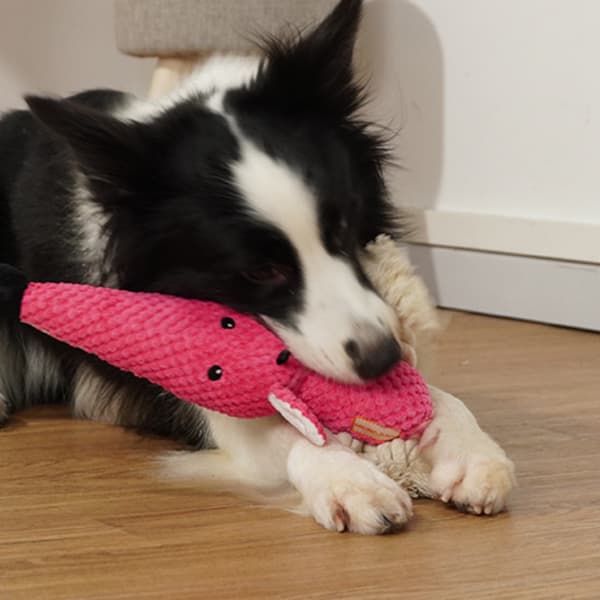 Kosedyr med fyll og pipelyd til hund (Mus)