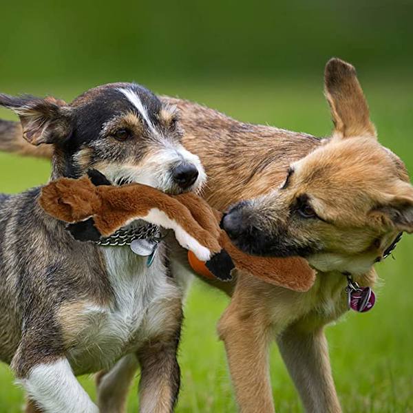 Fyllningsfritt hundleksak, pipig plysch hund leksak, fyllningsfritt D