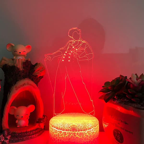 3D Anime Lampe, Harry & Styles Natlampe med Touch Sensor, G