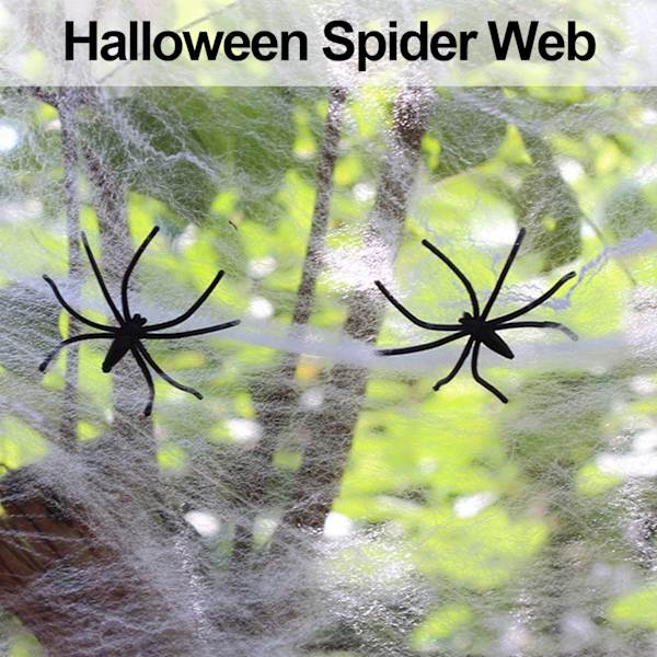 5 stk. Edderkoppnett Skrekkelig Levende Skalerbar Halloween Dekorativt Tilbehør for Innendørs Utendørs White