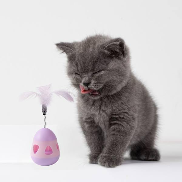 Kattgodis Dispenser Leksak med Fjäder Interaktiv Förhindra Tippning Katt Långsam Matare Pusselboll Pink Purple