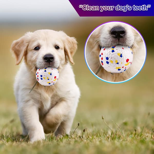 Dotpet Hundeleke Ball, Interaktiv Elastisk Hundeball, Slitesterk D
